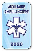 Self-adhesive Sticker - Caduceus 2023 Vignette for Window Windshield - V10 