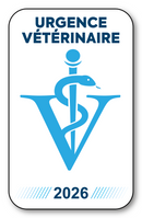 Selbstklebender Aufkleber – Caduceus 2023 Vignette für Windschutzscheiben-Fensteraufkleber – V12 