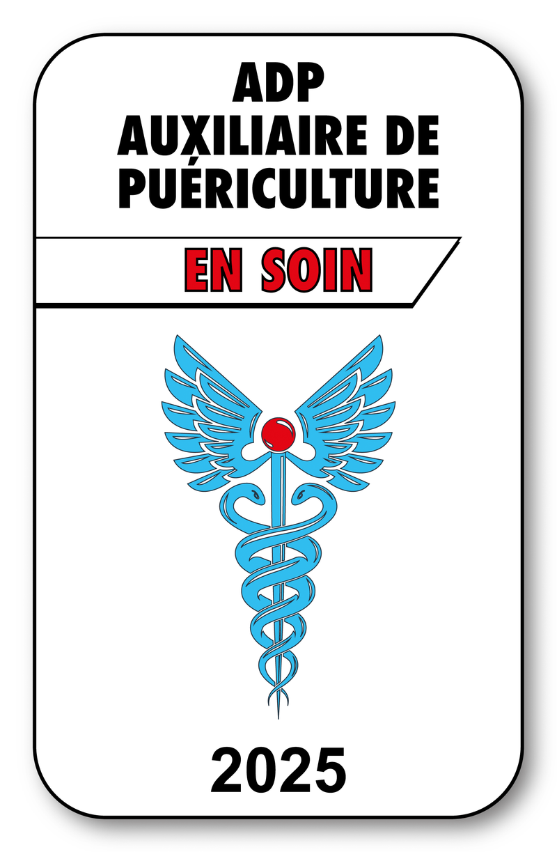 Self-adhesive Sticker - Caduceus 2023 Vignette for Window Windshield - V3 