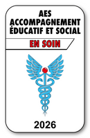 Autocollant Sticker - Vignette Caducée 2026 pour Pare Brise en Vitrophanie - V3