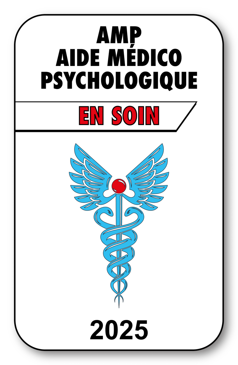 Self-adhesive Sticker - Caduceus 2023 Vignette for Window Windshield - V3 