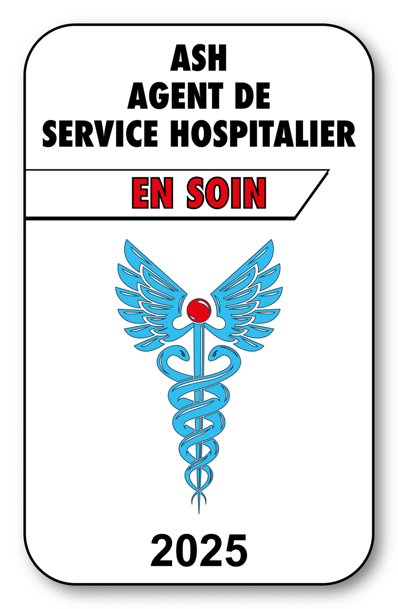 Self-adhesive Sticker - Caduceus 2023 Vignette for Window Windshield - V3 