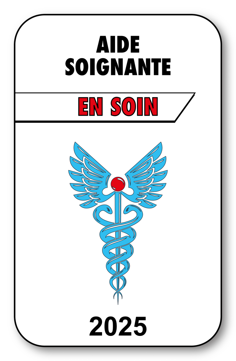 Self-adhesive Sticker - Caduceus 2023 Vignette for Window Windshield - V3 