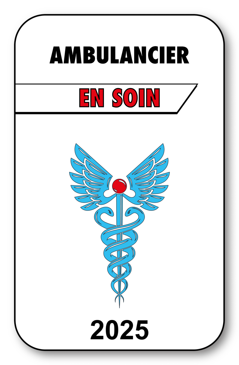 Self-adhesive Sticker - Caduceus 2023 Vignette for Window Windshield - V3 