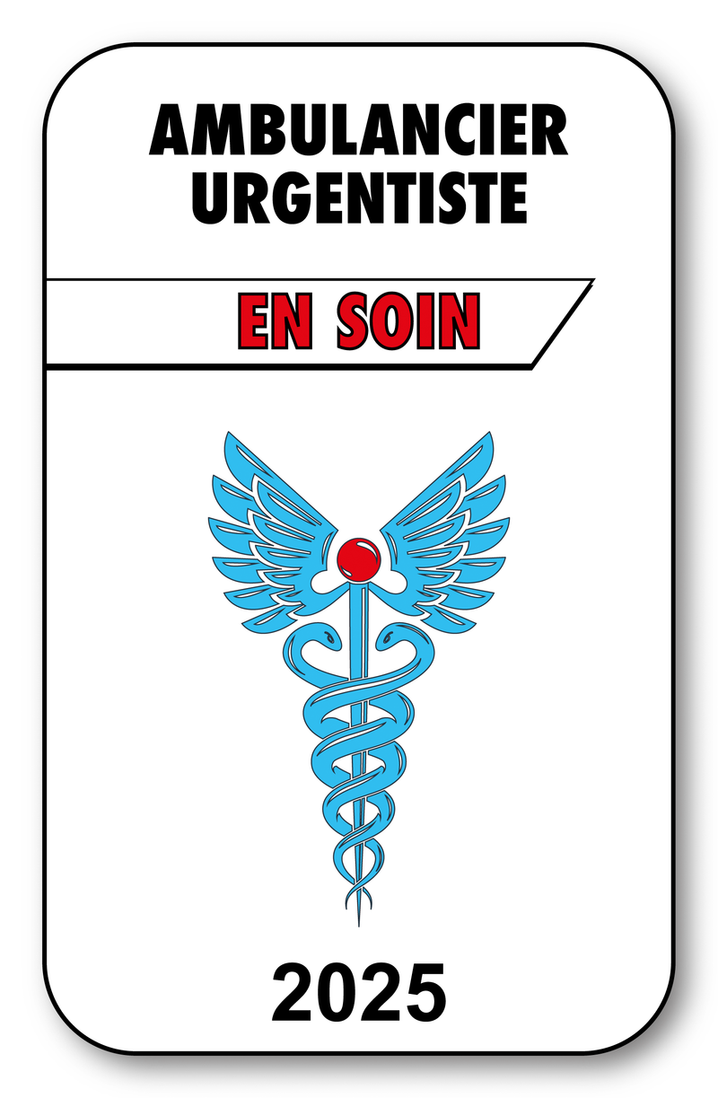 Self-adhesive Sticker - Caduceus 2023 Vignette for Window Windshield - V3 