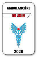 Autocollant Sticker - Vignette Caducée 2026 pour Pare Brise en Vitrophanie - V3