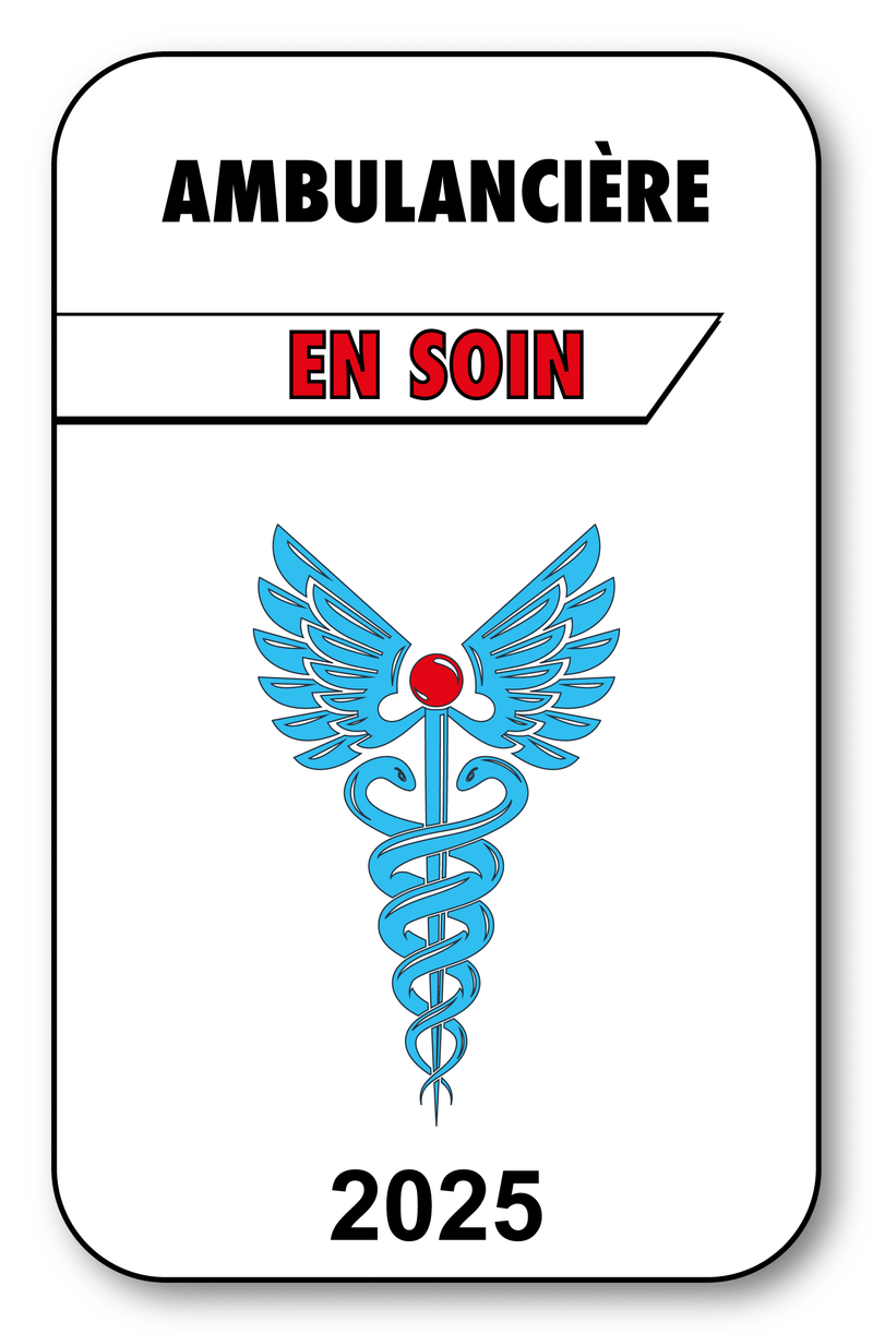 Self-adhesive Sticker - Caduceus 2023 Vignette for Window Windshield - V3 