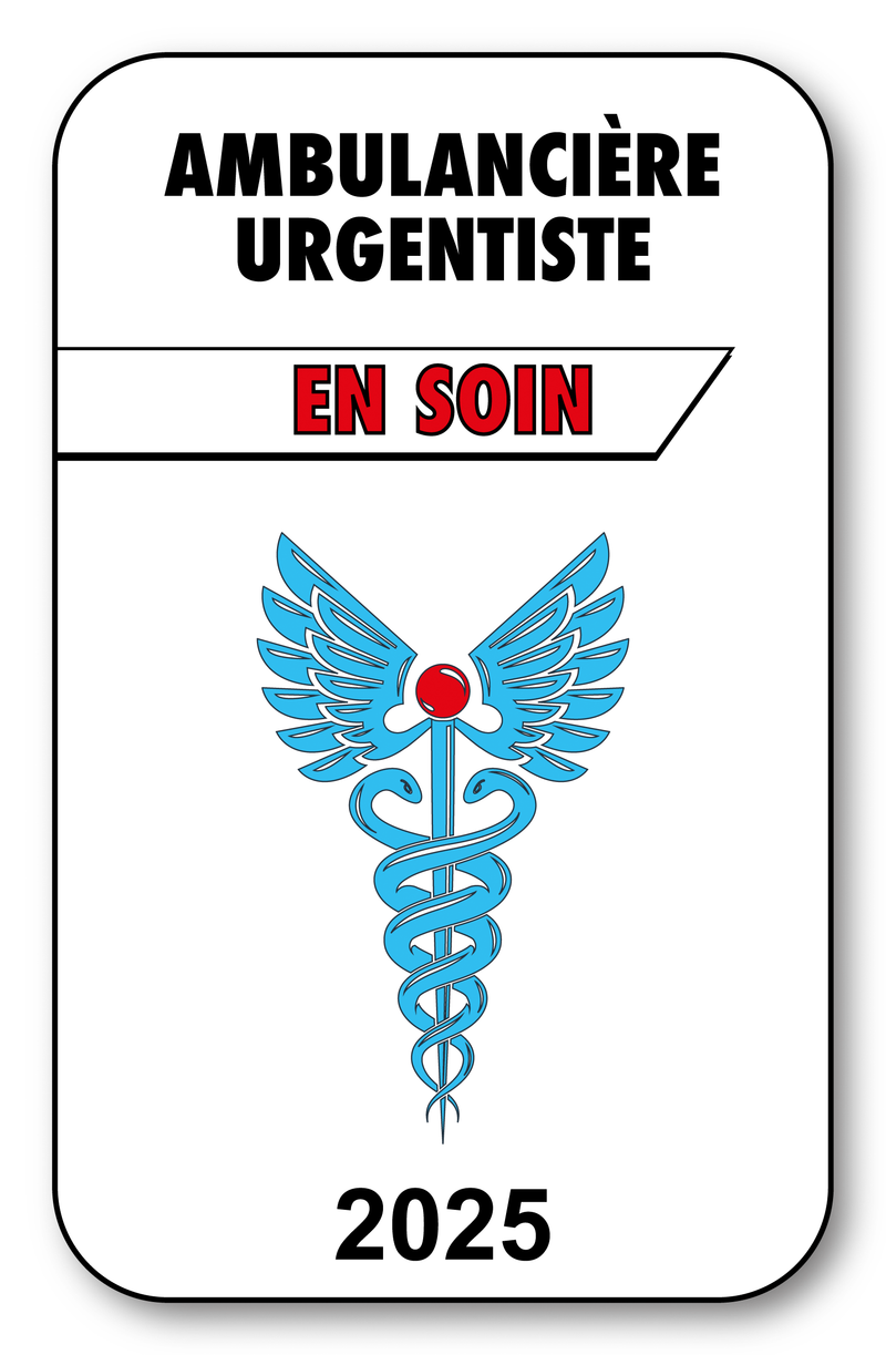 Self-adhesive Sticker - Caduceus 2023 Vignette for Window Windshield - V3 