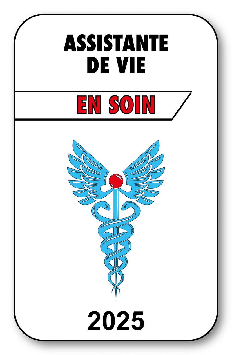 Self-adhesive Sticker - Caduceus 2023 Vignette for Window Windshield - V3 