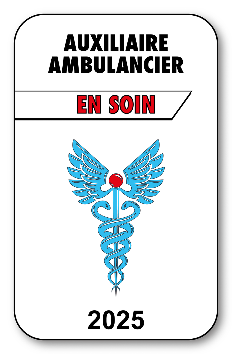 Self-adhesive Sticker - Caduceus 2023 Vignette for Window Windshield - V3 