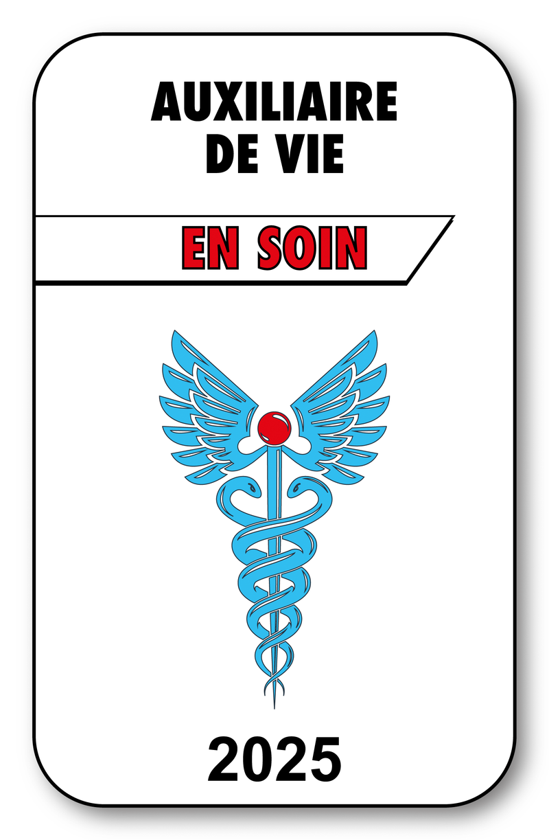 Self-adhesive Sticker - Caduceus 2023 Vignette for Window Windshield - V3 