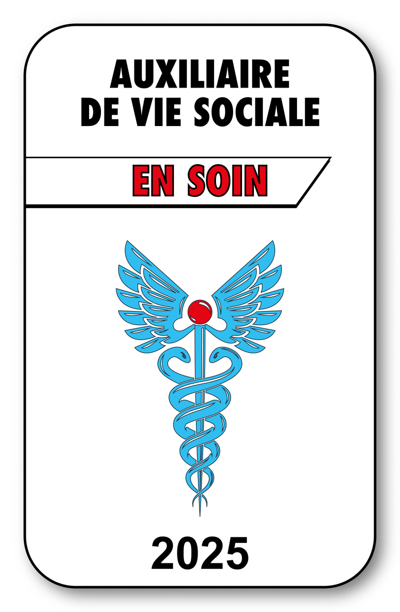 Self-adhesive Sticker - Caduceus 2023 Vignette for Window Windshield - V3 