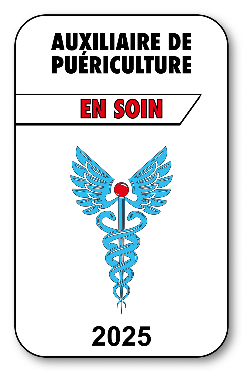 Self-adhesive Sticker - Caduceus 2023 Vignette for Window Windshield - V3 