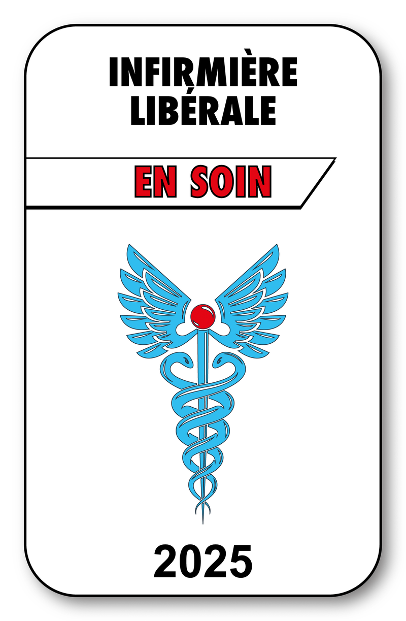 Self-adhesive Sticker - Caduceus 2023 Vignette for Window Windshield - V3 