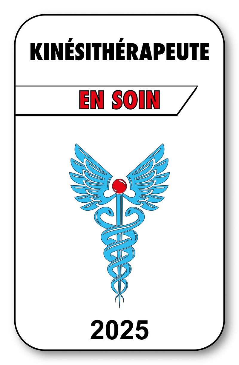 Self-adhesive Sticker - Caduceus 2023 Vignette for Window Windshield - V3 