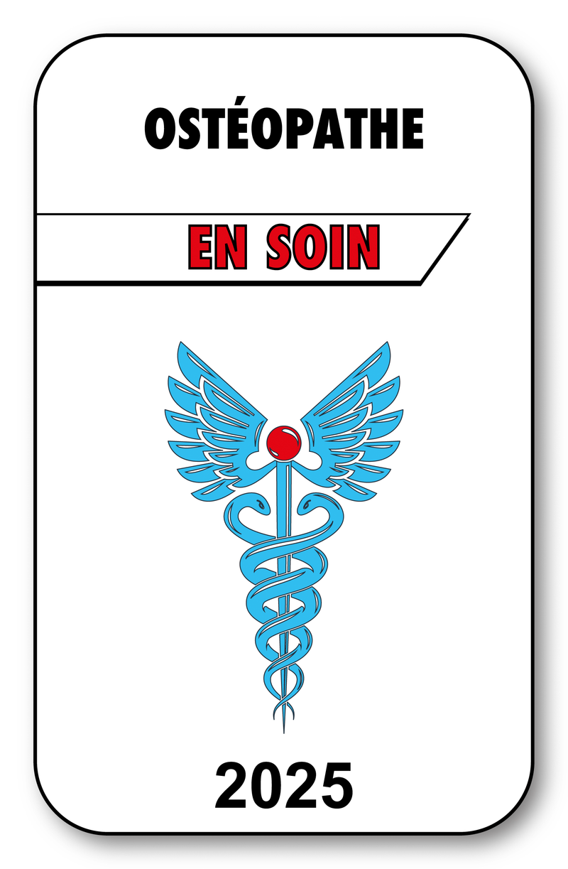 Self-adhesive Sticker - Caduceus 2023 Vignette for Window Windshield - V3 