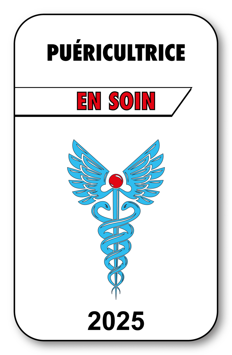 Self-adhesive Sticker - Caduceus 2023 Vignette for Window Windshield - V3 