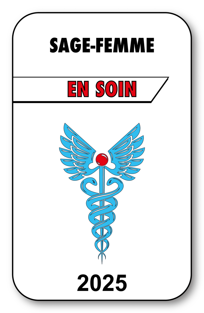 Self-adhesive Sticker - Caduceus 2023 Vignette for Window Windshield - V3 