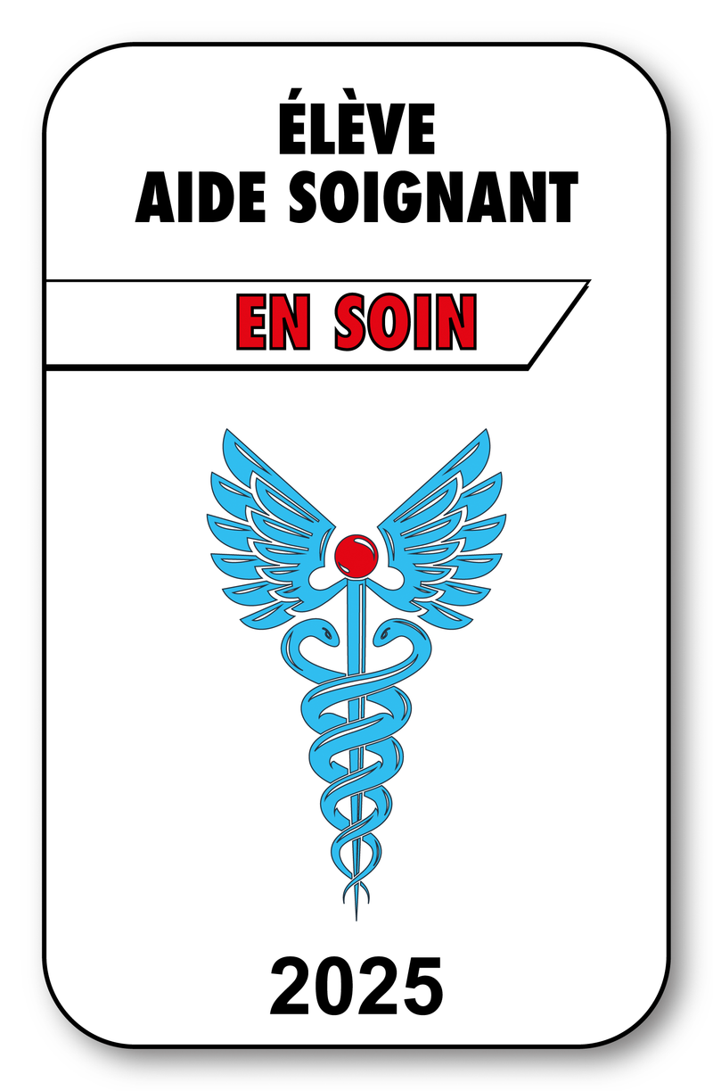 Self-adhesive Sticker - Caduceus 2023 Vignette for Window Windshield - V3 