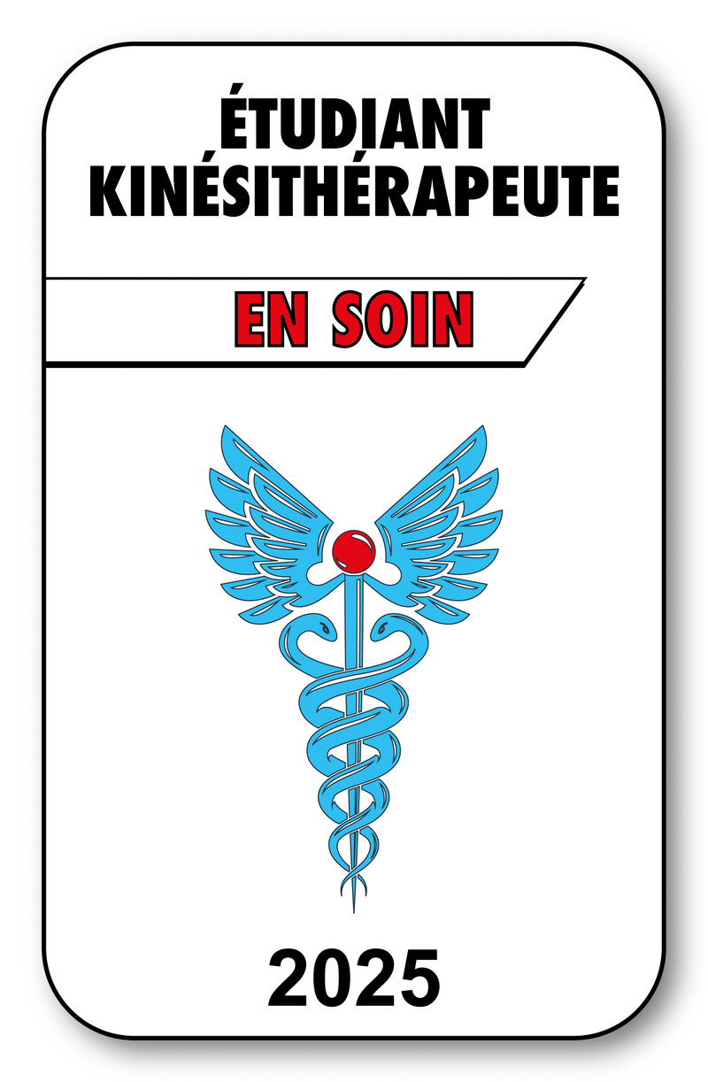 Self-adhesive Sticker - Caduceus 2023 Vignette for Window Windshield - V3 