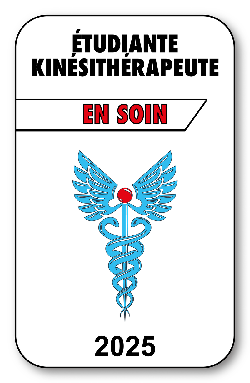 Self-adhesive Sticker - Caduceus 2023 Vignette for Window Windshield - V3 