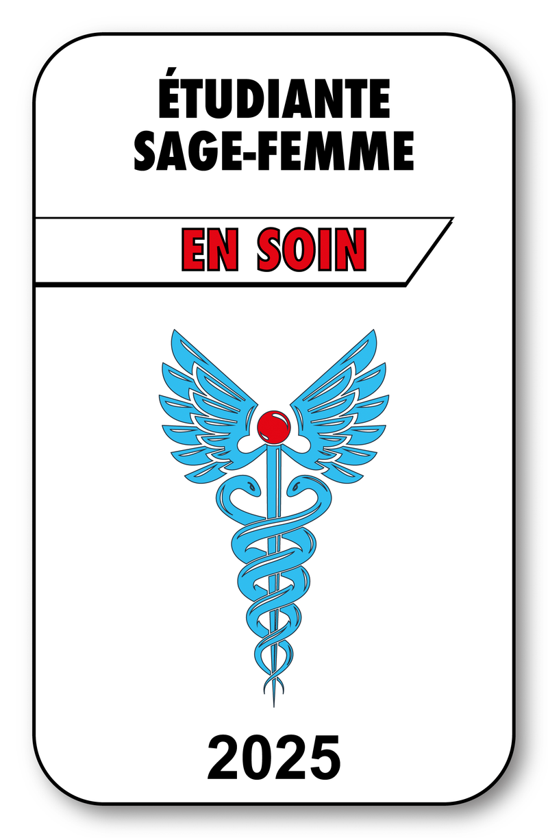 Self-adhesive Sticker - Caduceus 2023 Vignette for Window Windshield - V3 