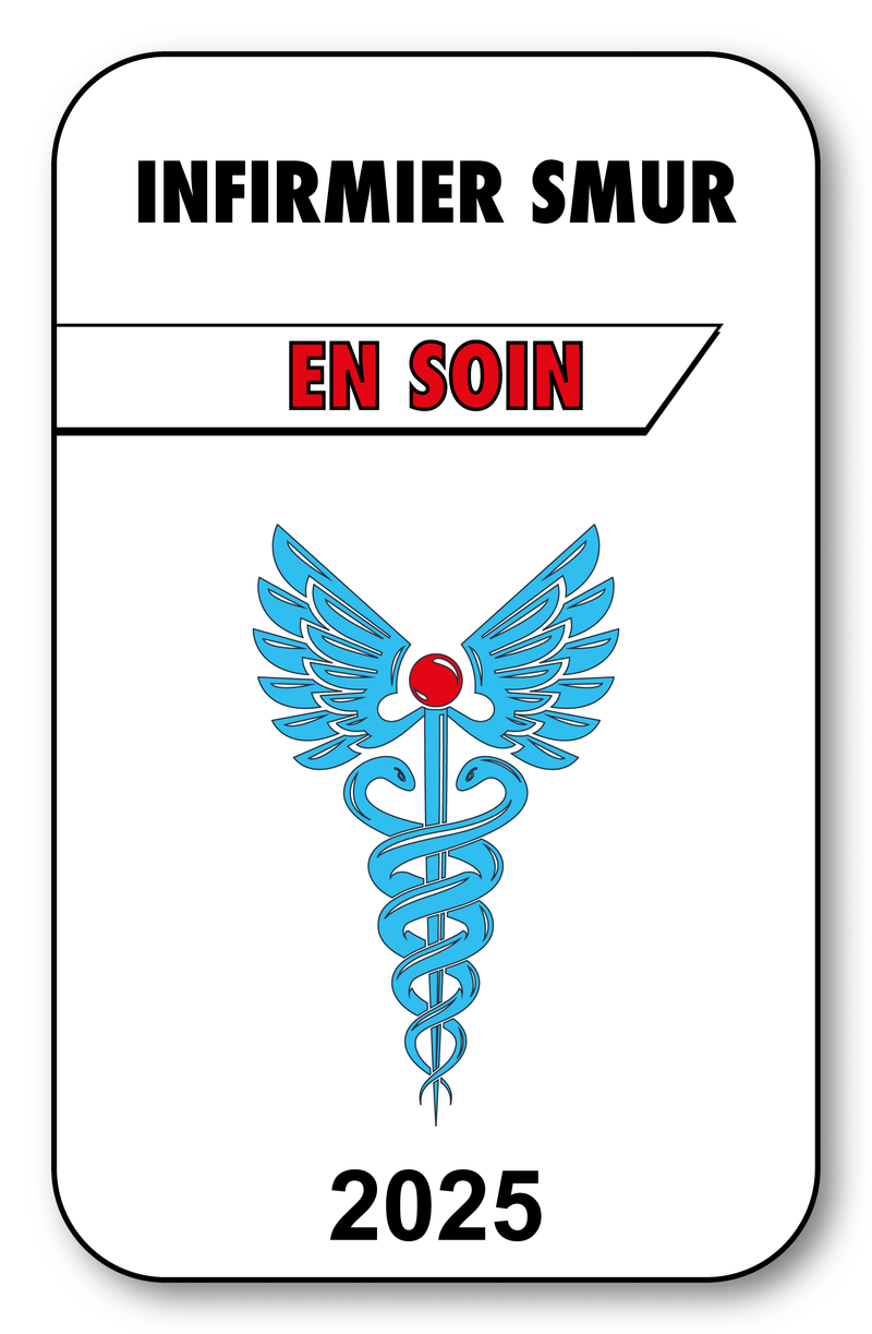 Self-adhesive Sticker - Caduceus 2023 Vignette for Window Windshield - V3 