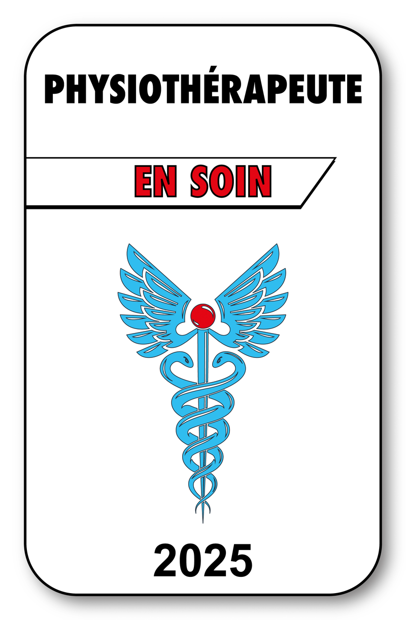 Self-adhesive Sticker - Caduceus 2023 Vignette for Window Windshield - V3 