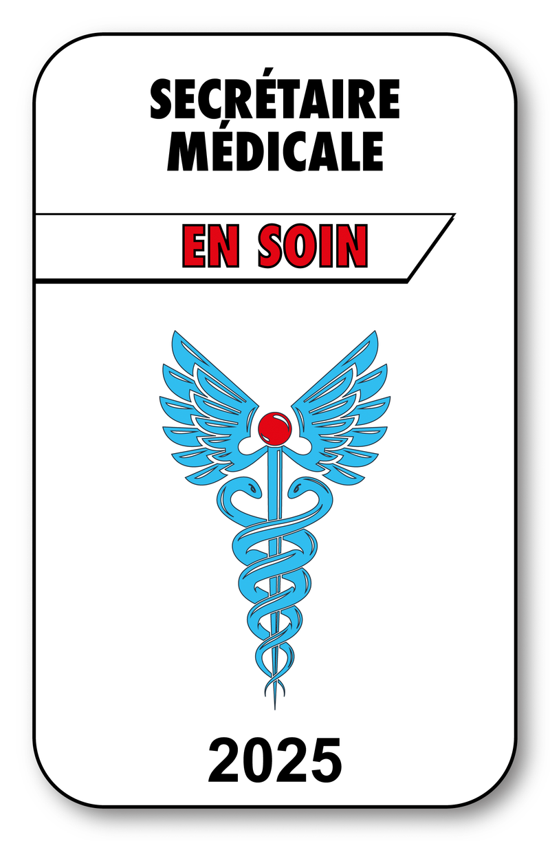 Self-adhesive Sticker - Caduceus 2023 Vignette for Window Windshield - V3 