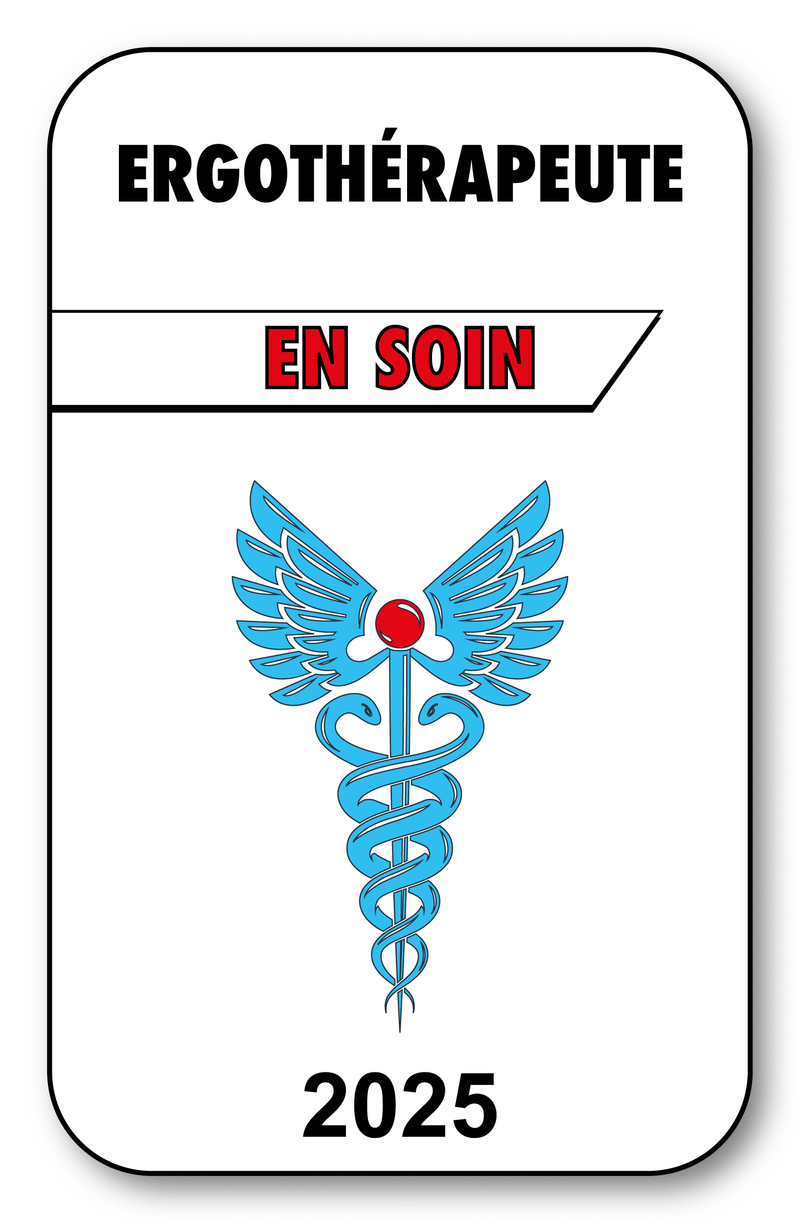 Self-adhesive Sticker - Caduceus 2023 Vignette for Window Windshield - V3 