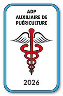 Self-adhesive Sticker - Caduceus 2023 Vignette for Window Windshield - V4 