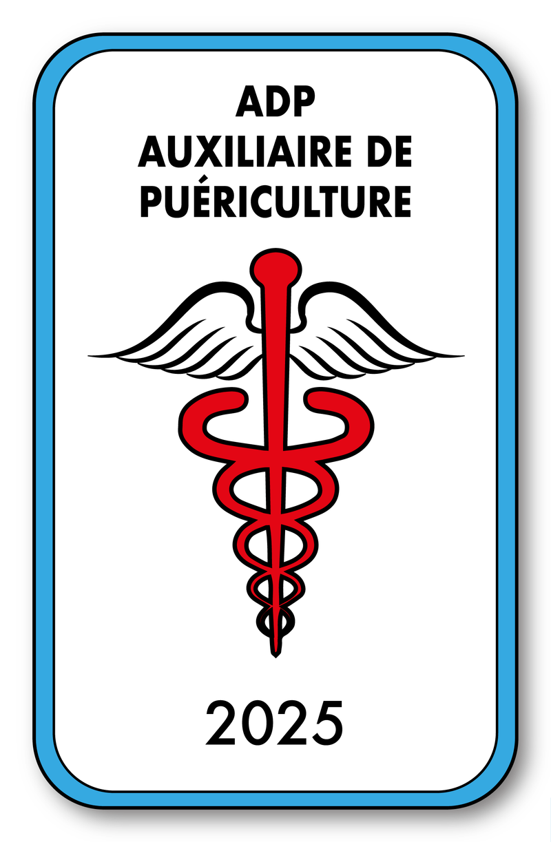 Self-adhesive Sticker - Caduceus 2023 Vignette for Window Windshield - V4 