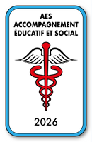 Self-adhesive Sticker - Caduceus 2023 Vignette for Window Windshield - V4 