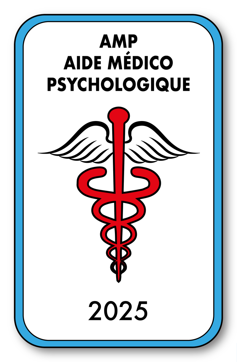 Self-adhesive Sticker - Caduceus 2023 Vignette for Window Windshield - V4 