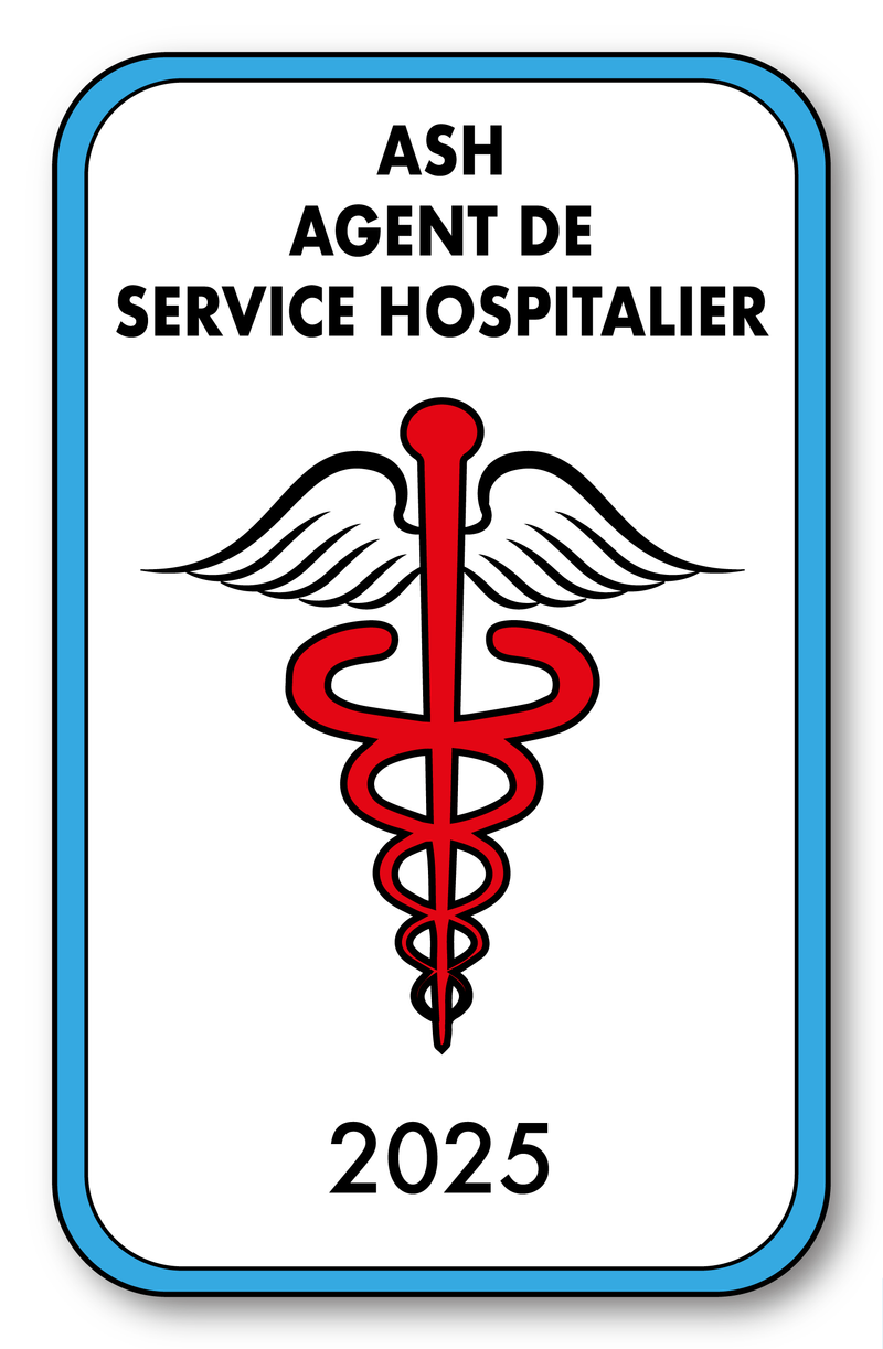 Self-adhesive Sticker - Caduceus 2023 Vignette for Window Windshield - V4 