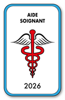 Self-adhesive Sticker - Caduceus 2023 Vignette for Window Windshield - V4 