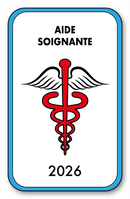 Self-adhesive Sticker - Caduceus 2023 Vignette for Window Windshield - V4 