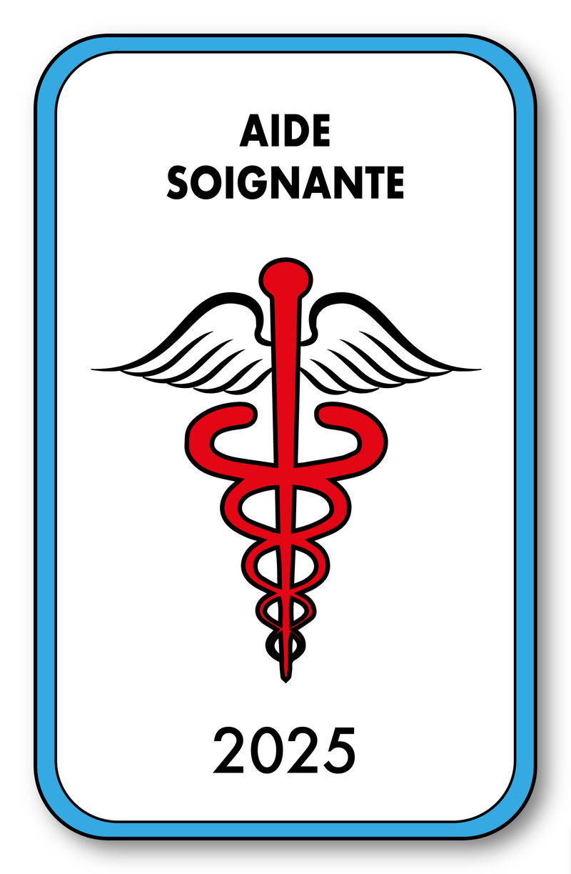 Self-adhesive Sticker - Caduceus 2023 Vignette for Window Windshield - V4 