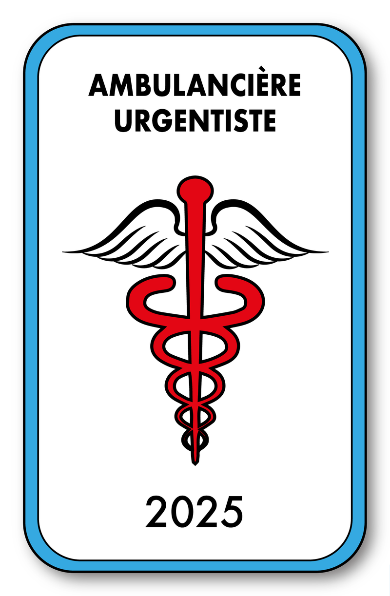 Self-adhesive Sticker - Caduceus 2023 Vignette for Window Windshield - V4 