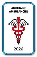 Self-adhesive Sticker - Caduceus 2023 Vignette for Window Windshield - V4 