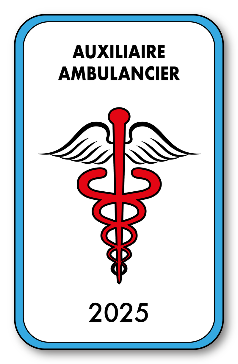 Self-adhesive Sticker - Caduceus 2023 Vignette for Window Windshield - V4 