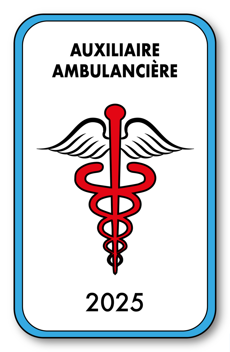 Self-adhesive Sticker - Caduceus 2023 Vignette for Window Windshield - V4 