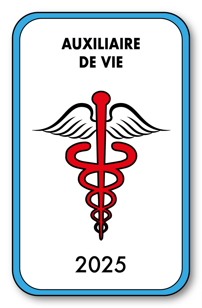 Self-adhesive Sticker - Caduceus 2023 Vignette for Window Windshield - V4 