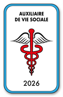 Self-adhesive Sticker - Caduceus 2023 Vignette for Window Windshield - V4 