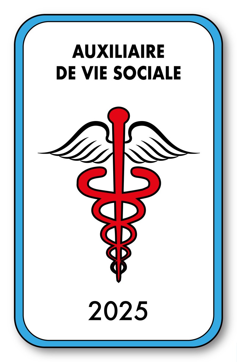 Self-adhesive Sticker - Caduceus 2023 Vignette for Window Windshield - V4 