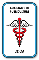 Self-adhesive Sticker - Caduceus 2023 Vignette for Window Windshield - V4 