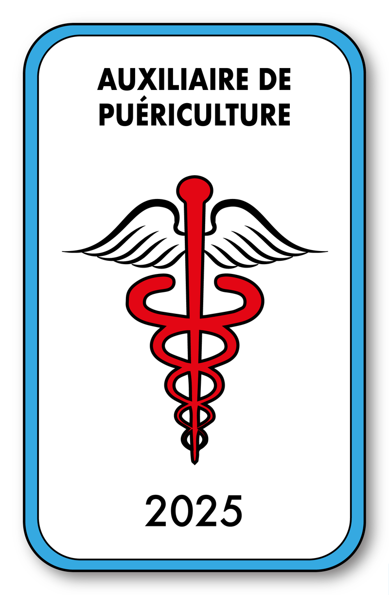 Self-adhesive Sticker - Caduceus 2023 Vignette for Window Windshield - V4 