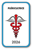 Self-adhesive Sticker - Caduceus 2023 Vignette for Window Windshield - V4 