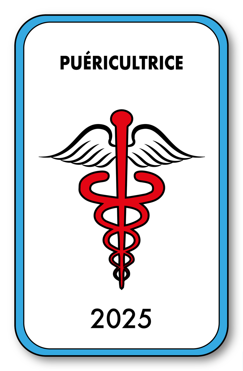 Self-adhesive Sticker - Caduceus 2023 Vignette for Window Windshield - V4 