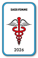 Self-adhesive Sticker - Caduceus 2023 Vignette for Window Windshield - V4 